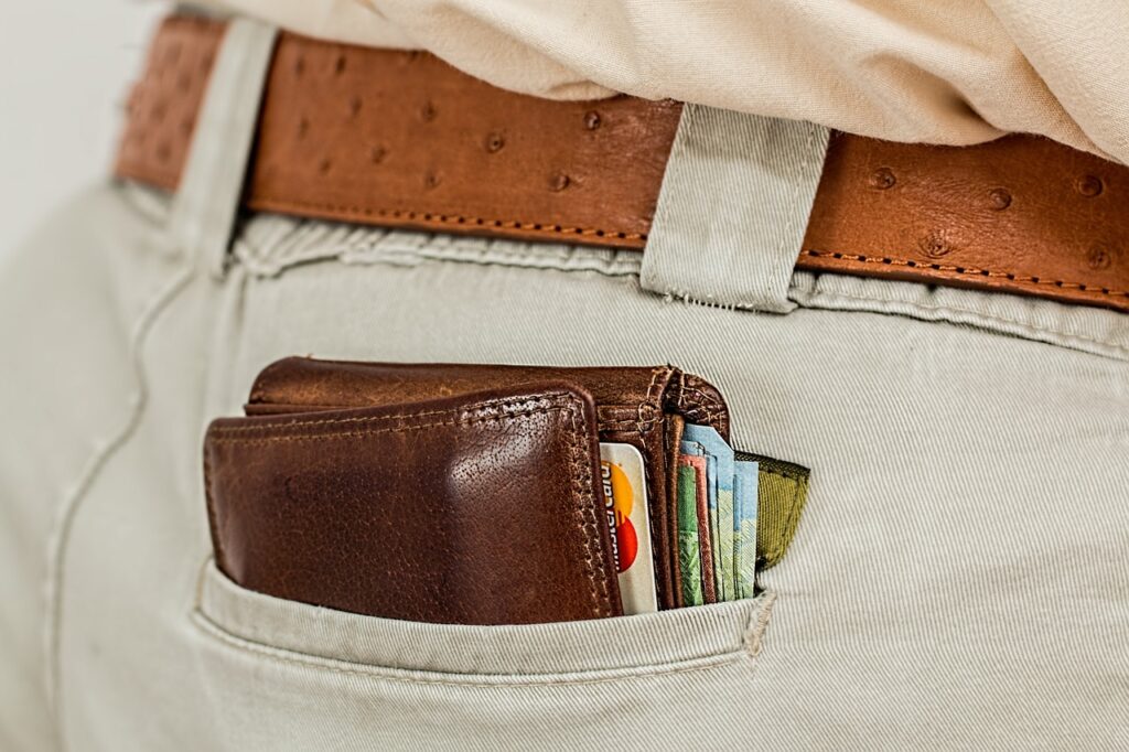 Wallet Cash Credit Card Pocket  - stevepb / Pixabay